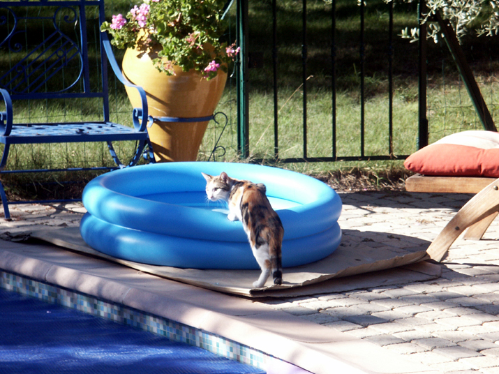 2005-08 002.jpg - DCF 1.0